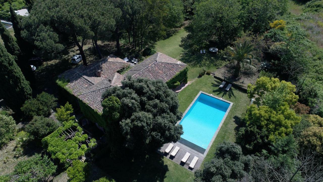 ויאגרנדה Villa Edera מראה חיצוני תמונה